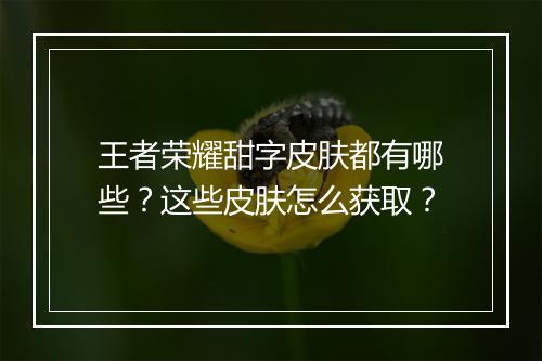 王者荣耀甜字皮肤都有哪些?这些皮肤怎么获取?
