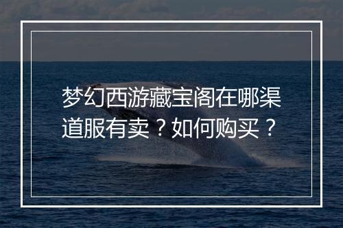 梦幻西游藏宝阁在哪渠道服有卖?如何购买?
