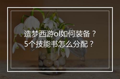 造梦西游ol如何装备？5个技能书怎么分配？
