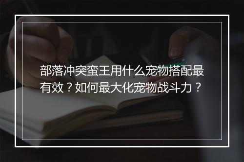 部落冲突蛮王用什么宠物搭配最有效？如何最大化宠物战斗力？