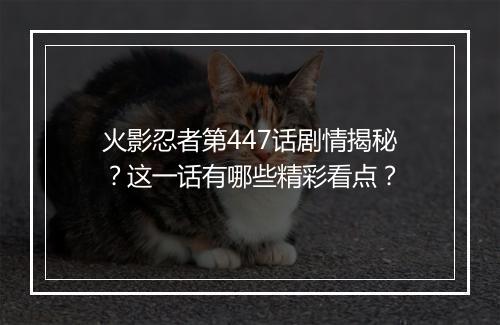 火影忍者第447话剧情揭秘?这一话有哪些精彩看点?
