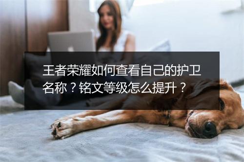 王者荣耀如何查看自己的护卫名称?铭文等级怎么提升?