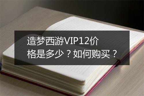 造梦西游VIP12价格是多少？如何购买？