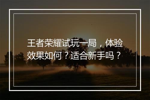 王者荣耀试玩一局,体验效果如何?适合新手吗?