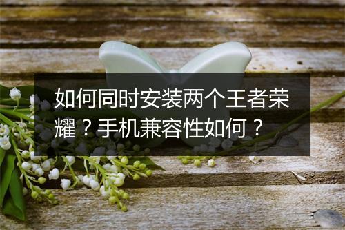 如何同时安装两个王者荣耀?手机兼容性如何?