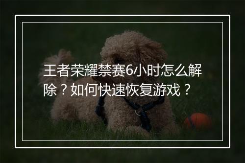 王者荣耀禁赛6小时怎么解除?如何快速恢复游戏?