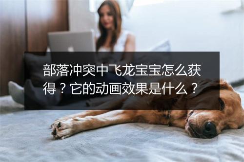 部落冲突中飞龙宝宝怎么获得？它的动画效果是什么？