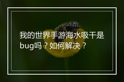 我的世界手游海水吸干是bug吗?如何解决?