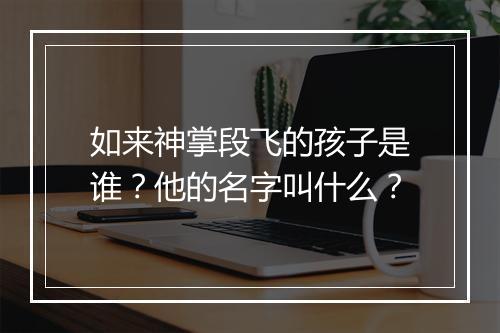 如来神掌段飞的孩子是谁?他的名字叫什么?