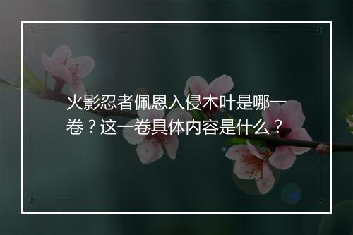 火影忍者佩恩入侵木叶是哪一卷?这一卷具体内容是什么?