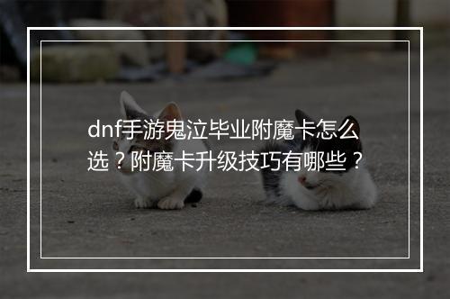 dnf手游鬼泣毕业附魔卡怎么选?附魔卡升级技巧有哪些?