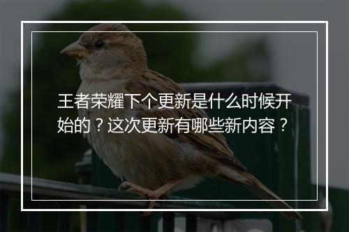 王者荣耀下个更新是什么时候开始的?这次更新有哪些新内容?