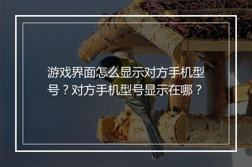 游戏界面怎么显示对方手机型号？对方手机型号显示在哪？