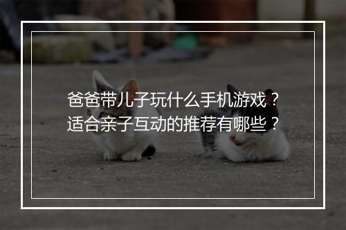 爸爸带儿子玩什么手机游戏?适合亲子互动的推荐有哪些?