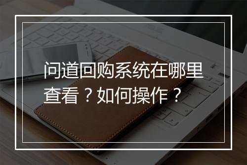 问道回购系统在哪里查看?如何操作?