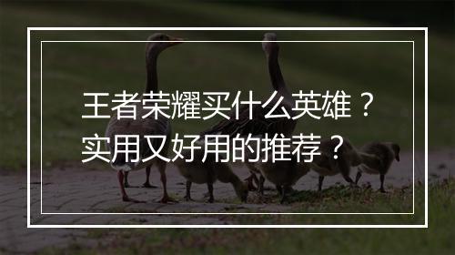 王者荣耀买什么英雄?实用又好用的推荐?