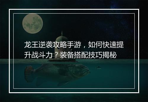 龙王逆袭攻略手游,如何快速提升战斗力?装备搭配技巧揭秘