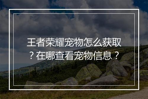 王者荣耀宠物怎么获取?在哪查看宠物信息?