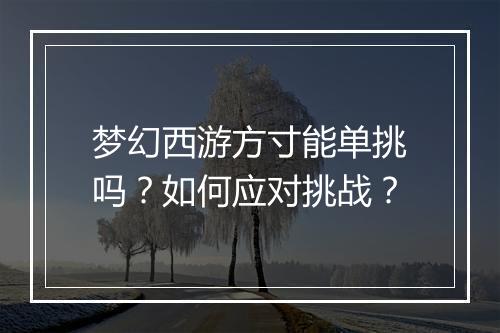 梦幻西游方寸能单挑吗?如何应对挑战?