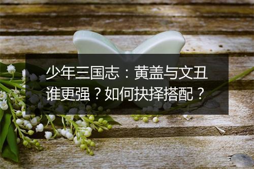 少年三国志:黄盖与文丑谁更强?如何抉择搭配?