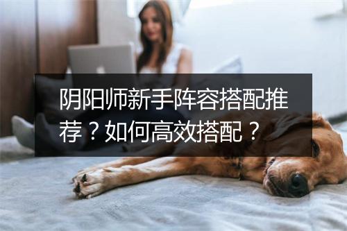 阴阳师新手阵容搭配推荐？如何高效搭配？