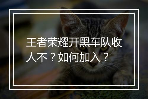 王者荣耀开黑车队收人不?如何加入?