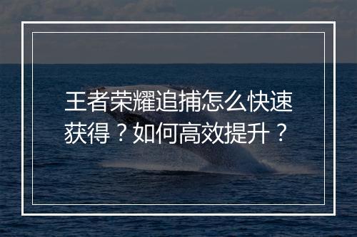 王者荣耀追捕怎么快速获得?如何高效提升?
