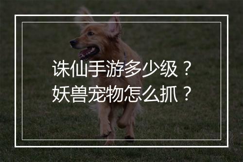 诛仙手游多少级?妖兽宠物怎么抓?