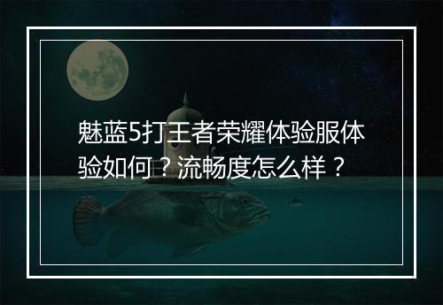 魅蓝5打王者荣耀体验服体验如何?流畅度怎么样?