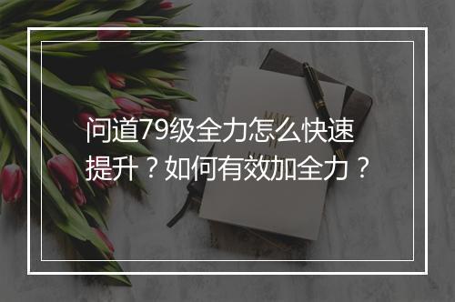 问道79级全力怎么快速提升?如何有效加全力?