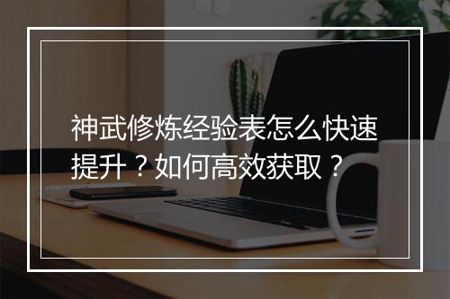 神武修炼经验表怎么快速提升？如何高效获取？