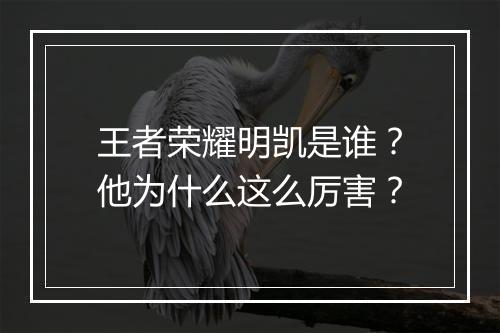 王者荣耀明凯是谁?他为什么这么厉害?