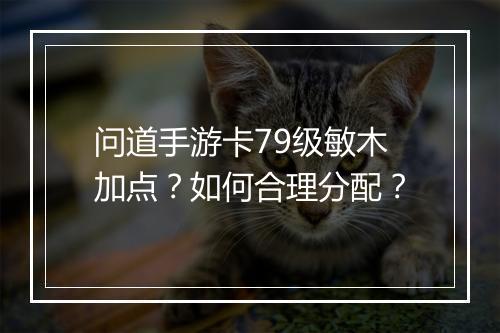 问道手游卡79级敏木加点？如何合理分配？