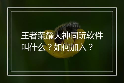 王者荣耀大神同玩软件叫什么?如何加入?