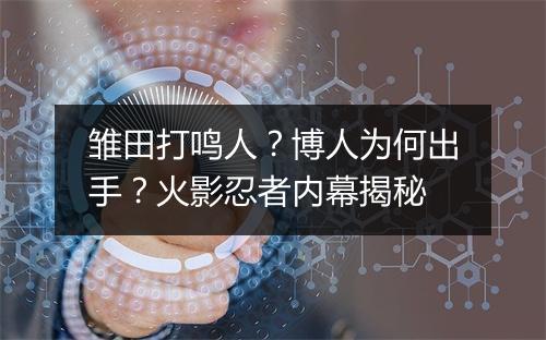 雏田打鸣人?博人为何出手?火影忍者内幕揭秘