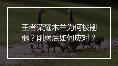 王者荣耀木兰为何被削弱?削弱后如何应对?