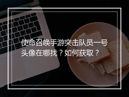 使命召唤手游突击队员一号头像在哪找?如何获取?