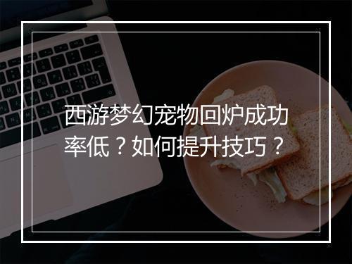 西游梦幻宠物回炉成功率低?如何提升技巧?