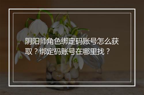 阴阳师角色绑定码账号怎么获取？绑定码账号在哪里找？
