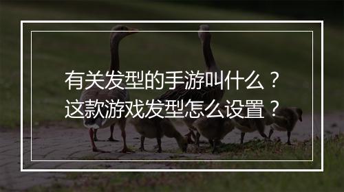 有关发型的手游叫什么?这款游戏发型怎么设置?