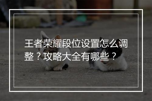 王者荣耀段位设置怎么调整？攻略大全有哪些？