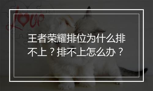 王者荣耀排位为什么排不上？排不上怎么办？