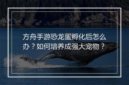 方舟手游恐龙蛋孵化后怎么办?如何培养成强大宠物?