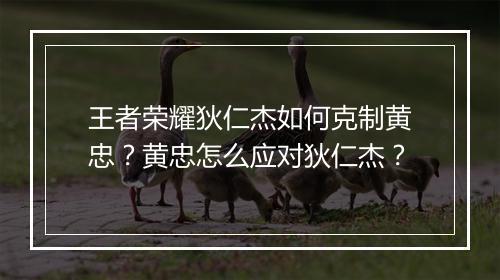 王者荣耀狄仁杰如何克制黄忠?黄忠怎么应对狄仁杰?