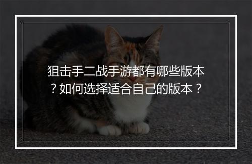 狙击手二战手游都有哪些版本?如何选择适合自己的版本?