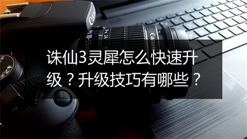 诛仙3灵犀怎么快速升级？升级技巧有哪些？