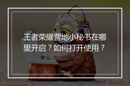 王者荣耀营地小秘书在哪里开启?如何打开使用?