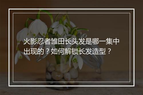 火影忍者雏田长头发是哪一集中出现的?如何解锁长发造型?
