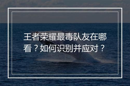 王者荣耀最毒队友在哪看?如何识别并应对?
