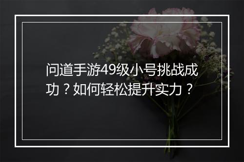 问道手游49级小号挑战成功？如何轻松提升实力？